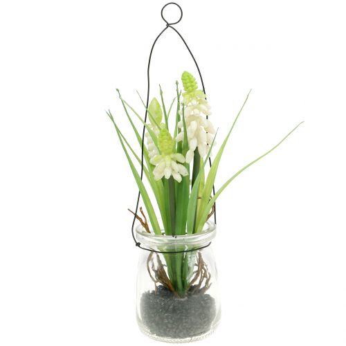 Floristik24 Jacinto de uva blanco en vaso para colgar Al. 22 cm