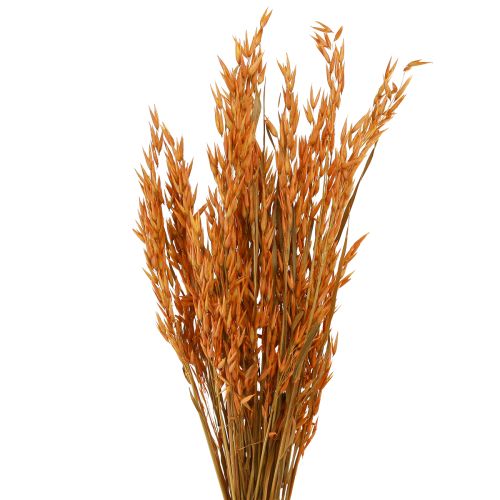 Dry Deco Avena Deco en Naranja L64cm 70-75g 2ud