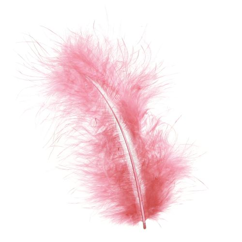 Plumas de ave plumas artesanales en primavera rosa Pascua 20g