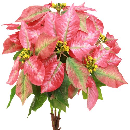 Floristik24 Estrella de Navidad estrella de Navidad artificial roja rosa L53cm