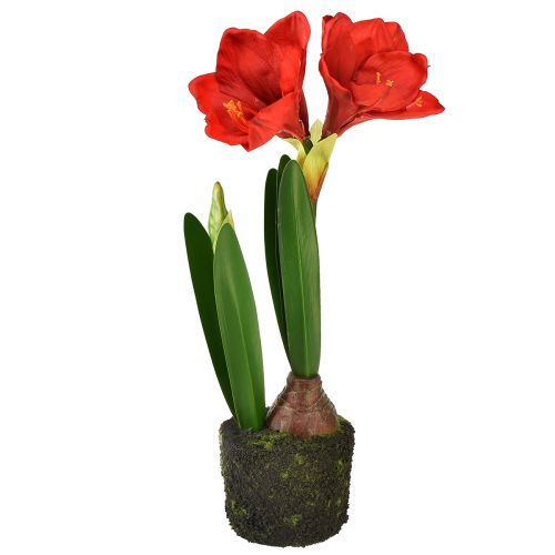 Artículo Amarilis en bolas de musgo artificial - flores de color rojo brillante, 49 cm - decoración elegante y natural de la habitación