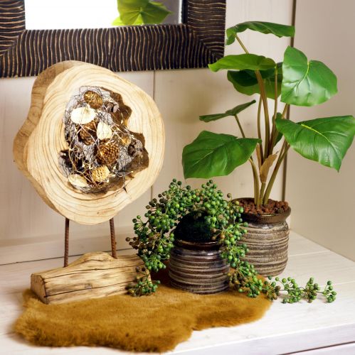Anillo de madera rústico sobre soporte - Veta de madera natural, 54 cm - Escultura única para un ambiente elegante