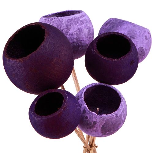 Campana en palo Decoración exótica seca Morado Berry 44cm 15ud