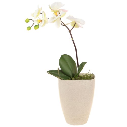 Macetero para orquídeas macetero plástico beige moteado 13,5x13cm H16,5cm 4ud