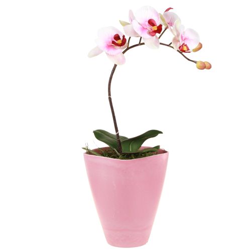 Maceta florero de plástico maceta para orquídeas rosa Al. 16,5 cm 4 piezas