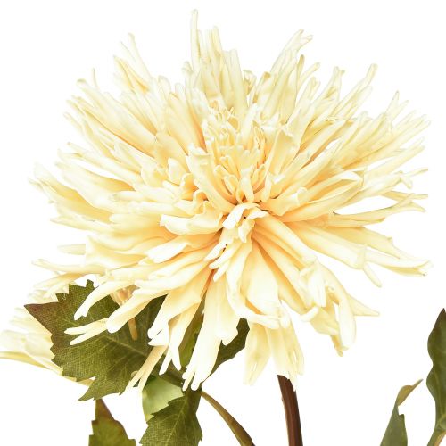 Artículo Flor artificial crema crisantemo con 2 flores L70cm