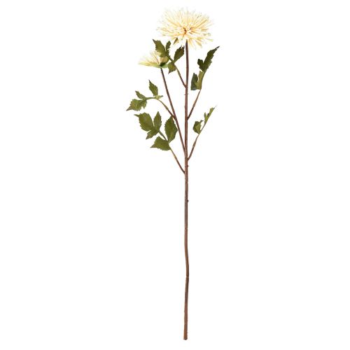 Artículo Flor artificial crema crisantemo con 2 flores L70cm