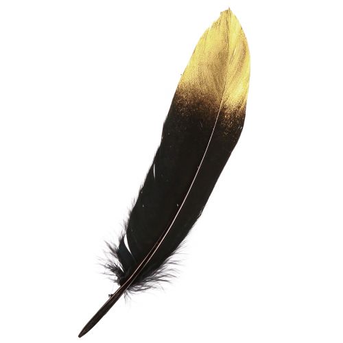 Plumas decorativas plumas de ganso reales de oro negro 15-20cm 50uds