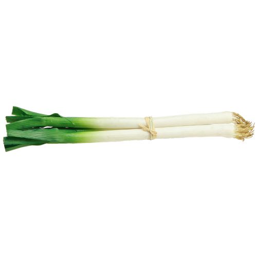 Artículo Verduras decorativas cebolletas verde blanco Ø1cm L28cm 3 piezas