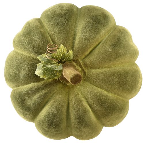 Artículo Calabaza decorativa flocada en verde: hermosa decoración otoñal aterciopelada 32 cm