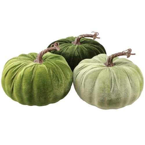 Artículo Deco calabaza otoño verde verde oscuro verde claro Ø18cm 3 piezas