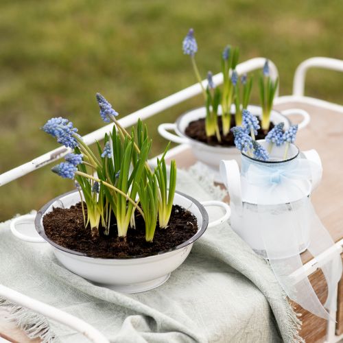 Artículo Cuenco Decorativo Metal Blanco Negro Vintage Ø20,5cm 3uds