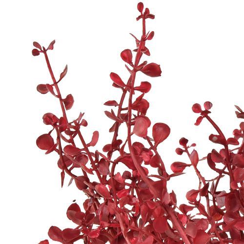 Artículo Arbusto de eucalipto rojo planta artificial eucalipto 28cm 3ud