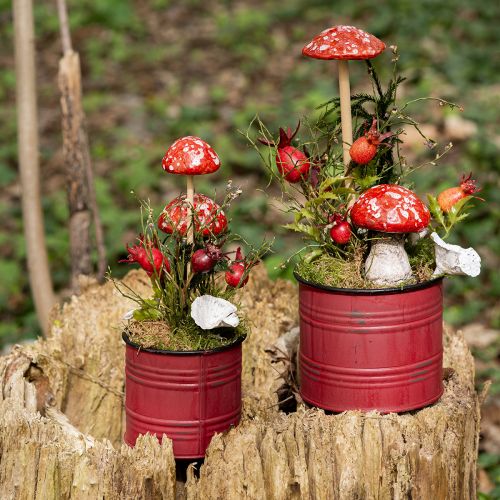 Floristik24 Setas con palo, rojas, 5,5 cm, juego de 6 - Setas otoñales decorativas para el jardín y el hogar