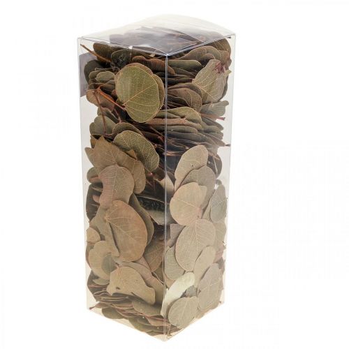 Artículo Decoración de hojas secas Moneta floristería seca naturaleza 200g