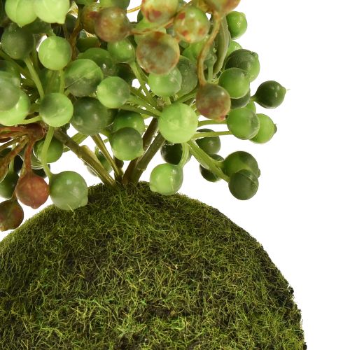 Artículo Hilo de perlas artificiales de planta verde en bola de musgo 38cm