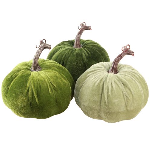 Decoración otoñal calabaza verde claro verde verde oscuro Ø13cm 3 piezas