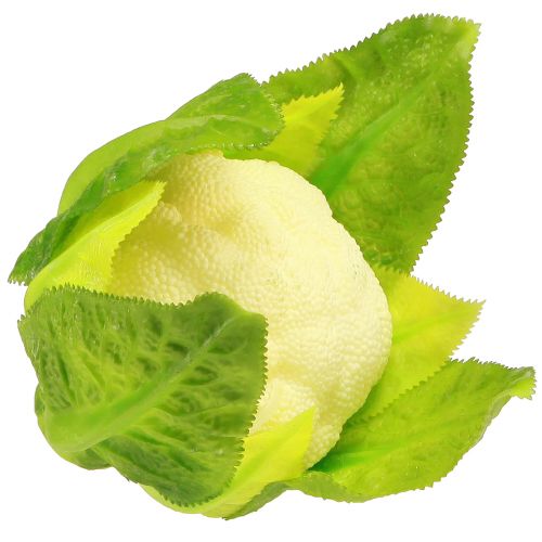 Artículo Decoración vegetal de coliflor artificial blanco verde Ø9cm H15cm