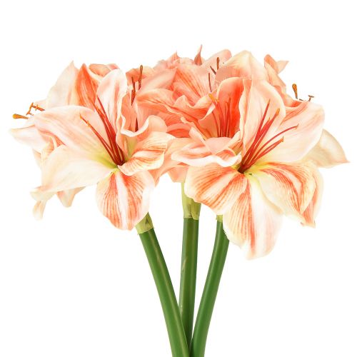 Floristik24 Estrella de Caballero Artificial Flores Artificiales Blanco Rojo Naranja Amarilis 40cm 3uds