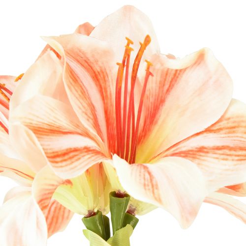 Artículo Estrella de Caballero Artificial Flores Artificiales Blanco Rojo Naranja Amarilis 40cm 3uds