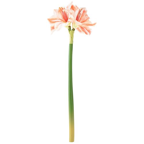 Artículo Estrella de Caballero Artificial Flores Artificiales Blanco Rojo Naranja Amarilis 40cm 3uds