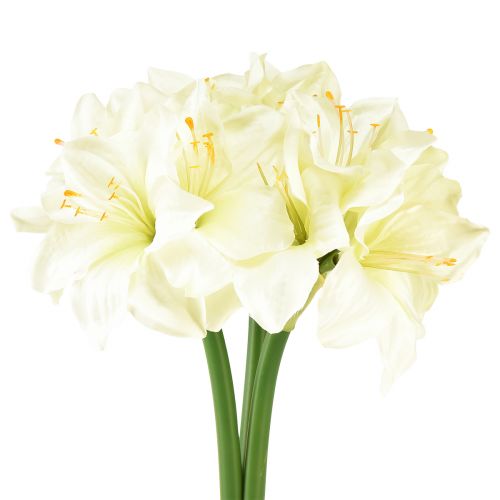 Floristik24 Estrella de caballero artificial como flores artificiales reales amarilis blanca 40 cm 3 piezas