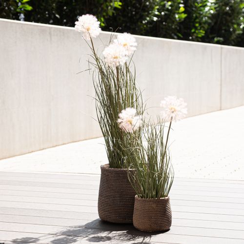 Floristik24 Flores artificiales bola decorativa flor allium cebolla ornamental artificial 54cm