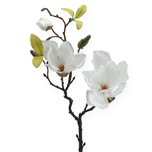  Magnolia rama de flor blanca 45cm 4pcs - comprar barato en  línea