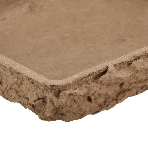 Artículo Oasis Biolit base para 2 losetas de espuma floral 48×13×2cm 7uds