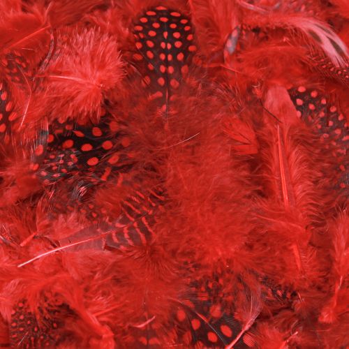 Artículo Plumas de gallina de Guinea Faraona 30g rojo