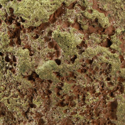 Artículo Macetero macetero rústico verde marrón Ø21cm H19,5cm