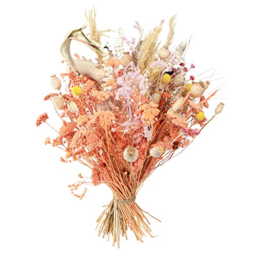 Artículo Ramo de flores secas naranja albaricoque ramo seco 45cm 80g