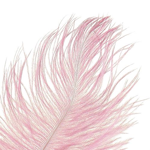 Artículo Plumas de Avestruz Plumas Reales Decoración Rosa 20-25cm 12uds