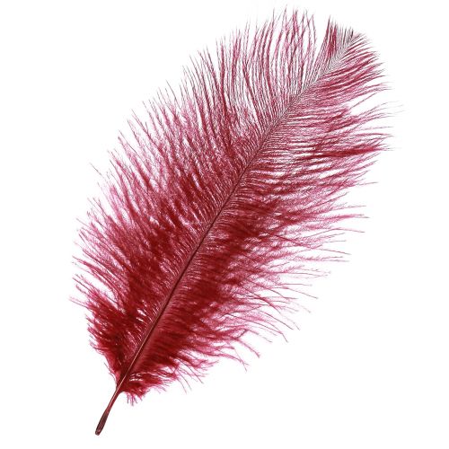 Plumas de Avestruz Plumas Reales Decoración Vino Rojo 20-25cm 12uds