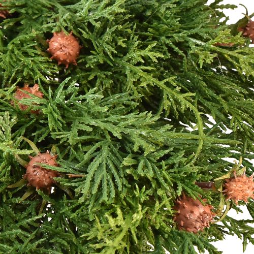 Floristik24 Corona de abeto Thuja con yemas base corona de vid Ø50cm