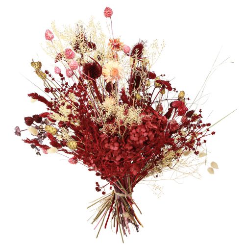 Artículo Ramo de flores secas decoración de cardo rojo vino 40cm 80g