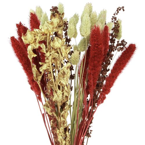Ramo de flores secas grano ramo seco oro rojo 50cm