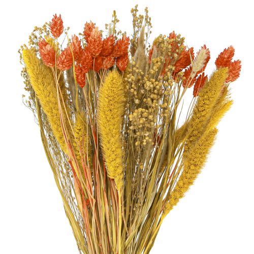 Ramo de flores secas con grano amarillo anaranjado 50cm
