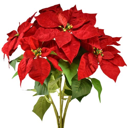 Artículo Estrella de Navidad artificial Poinsettia rojo verde L57cm