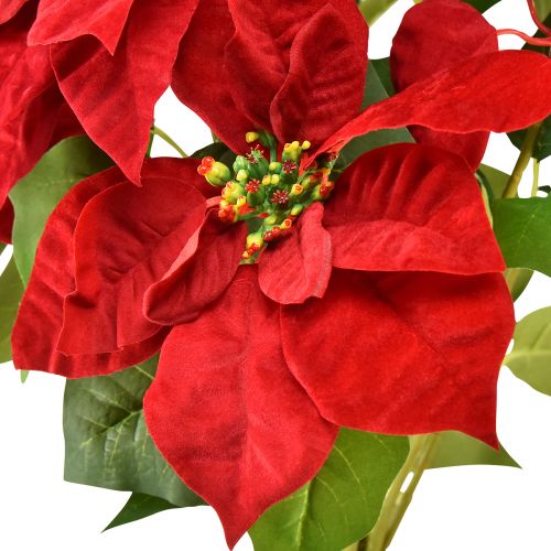 Artículo Estrella de Navidad artificial Poinsettia rojo verde L57cm