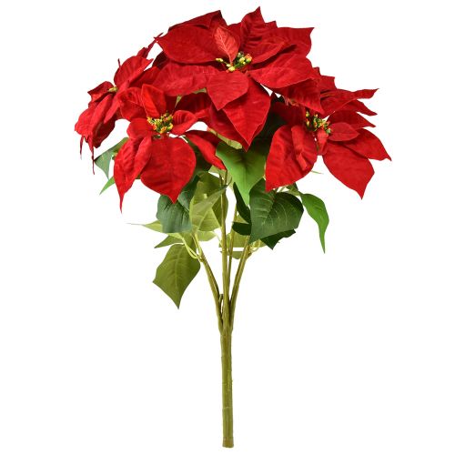 Artículo Estrella de Navidad artificial Poinsettia rojo verde L57cm