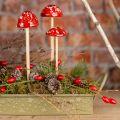 Floristik24 Setas con palo, rojas, 4 cm, juego de 6 - setas decorativas de jardín para decoración otoñal