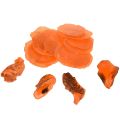 Floristik24 Mejillones ostra capiz en rodajas en red naranja 3,5–9,5cm 2ud