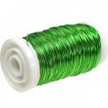 Floristik24 Alambre Esmaltado Deco Verde Manzana Ø0.50mm 50m 100g