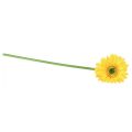 Floristik24 Flores Artificiales Gerbera Sol Amarillo Flor de Jardín 47cm