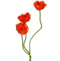 Floristik24 Amapolas artificiales flores artificiales naranja 58cm–74cm 3ud