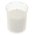 Floristik24 Recambio de velas para tumbas blanco 22h H6,5cm 15ud