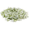 Floristik24 Corona de Gypsophila corona de flores blancas boda Ø30cm