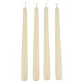 Floristik24 Velas cónicas, velas de palo, blanco marfil, 250/23 mm, 12 piezas