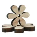 Floristik24 Decoración dispersa flores de madera decoración de mesa marrón natural Ø2-6cm 20ud